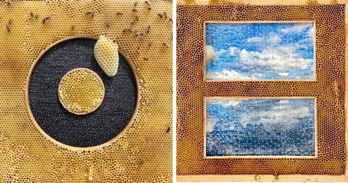 Artist Collaborates With Bees To Create Delicate Embroideries (10 Pics)