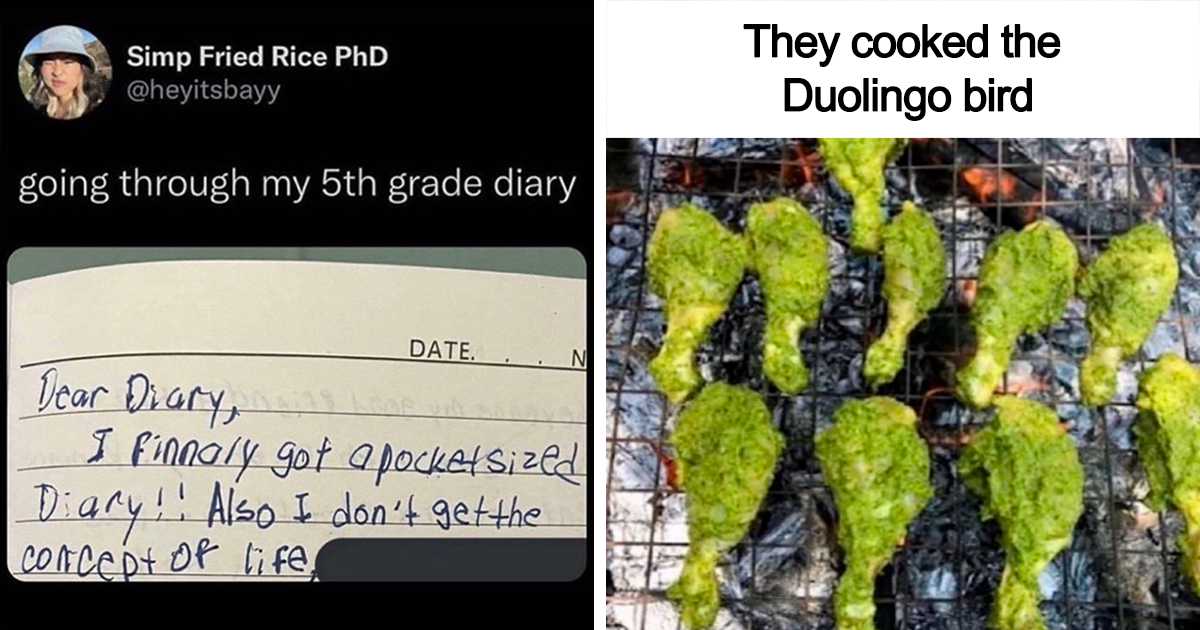 30 Times This Twitter Account Delivered Hourly Doses Of Memes