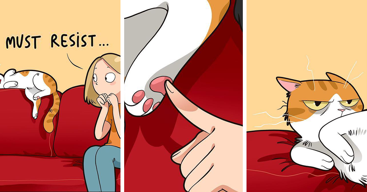 20 Illustrations Showing Funny And Adorable Moments In The Life Of A Cat Owner
