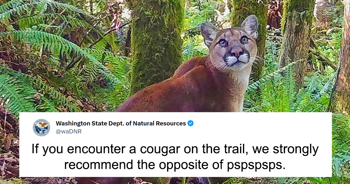 20 Of The Funniest Tweets From The Recently Trending Washington State Dept. Of Natural Resources