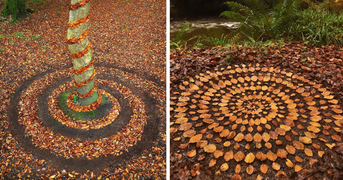 15 Striking Autumn Leaves Arrangement By Land Artist Jon Foreman
