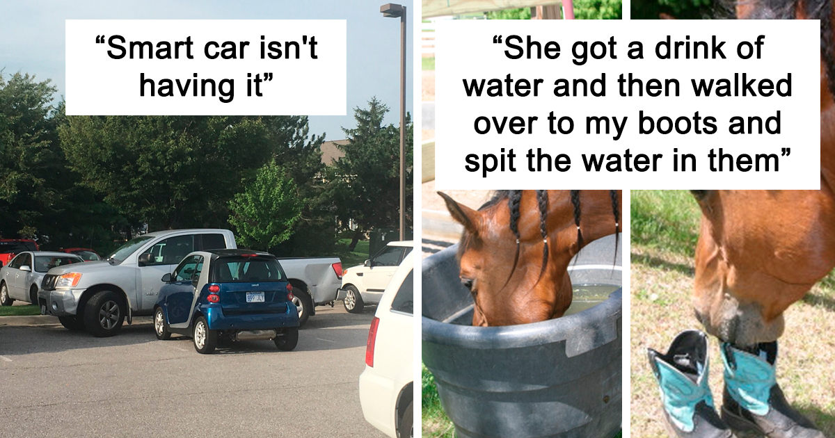 20 Times Karma Got Someone Back In The Form Of An Epic Revenge Plan