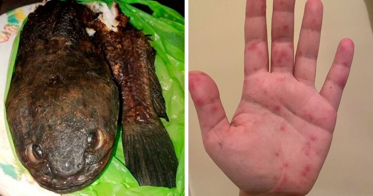 20 Times Thanksgiving Turned Out To Be A Disaster