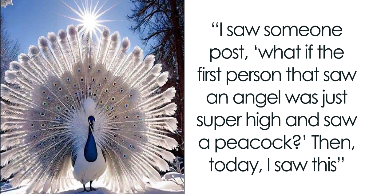 30 Times People Spotted "Accidental Surrealism" In Real Life