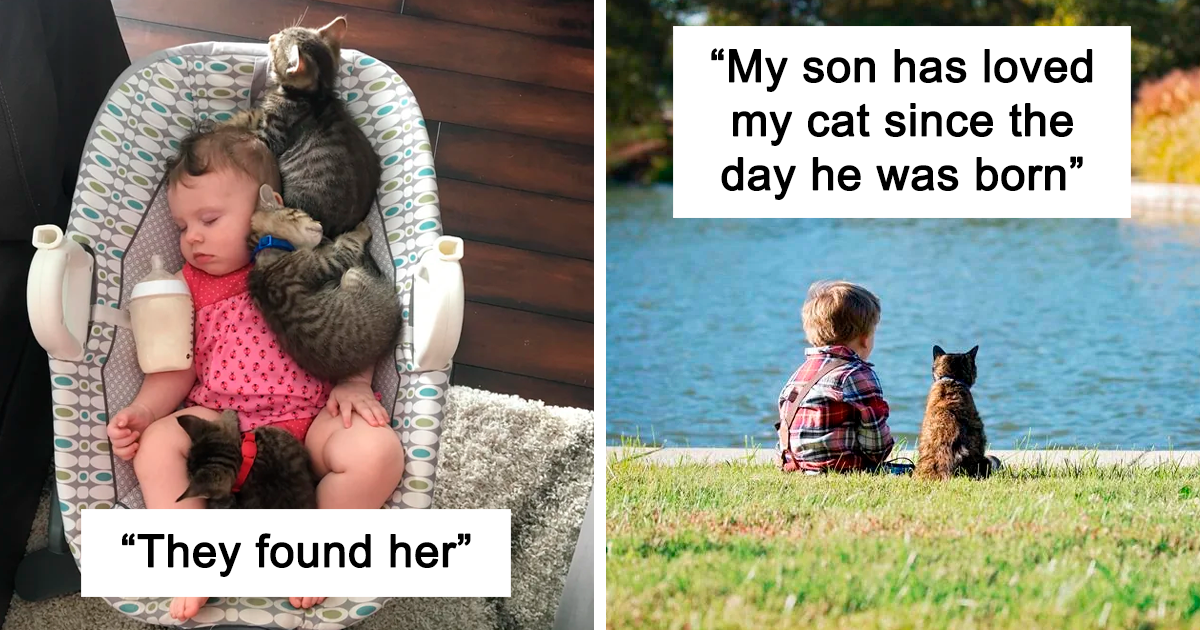 20 Pics Showing Beautiful Relationship Between Cats And Babies
