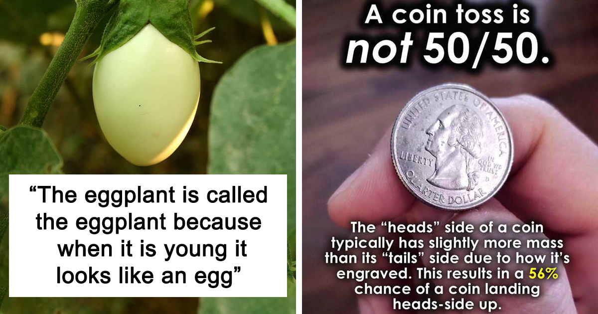 20 Odd and Interesting Facts That May Leave You Fascinated