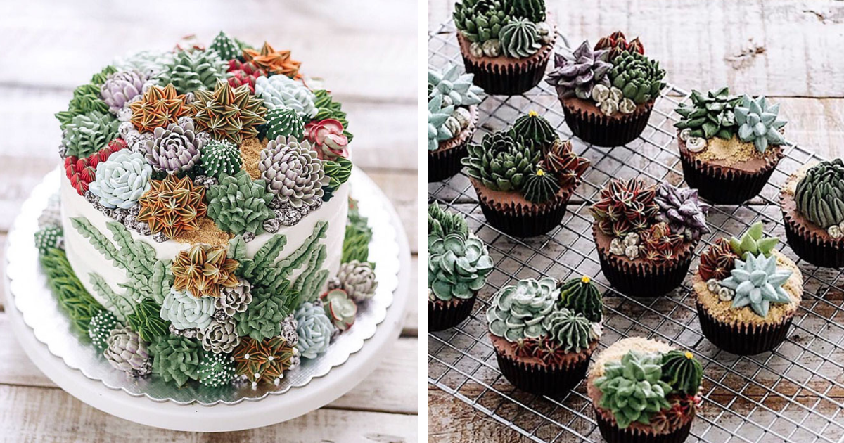 20 Stunning Succulent Cakes By Ivenoven That Look Too Real To Eat