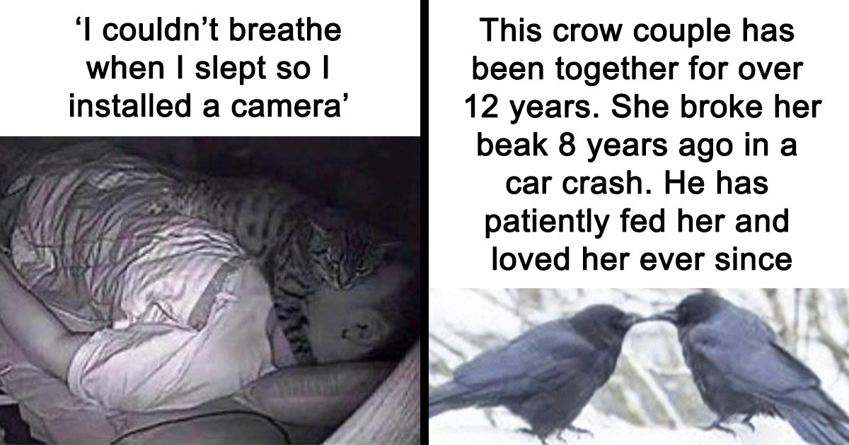 30 Wholesome Pics And Memes To Bring Some Joy To Your Day, As Shared On This Instagram Page