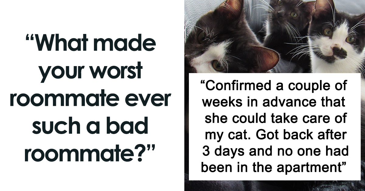 20 Stories About ‘Roommates From Hell’