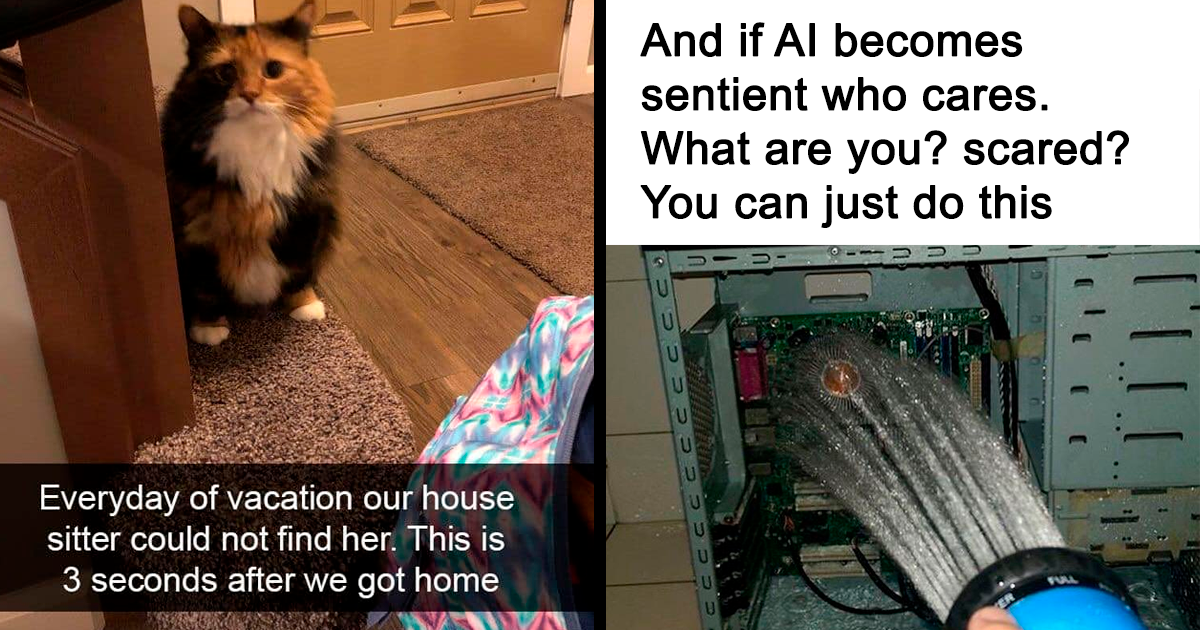 30 Epic Tumblr Posts To Brighten Your Day, As Shared On "The Worst Of Tumblr" Facebook Page