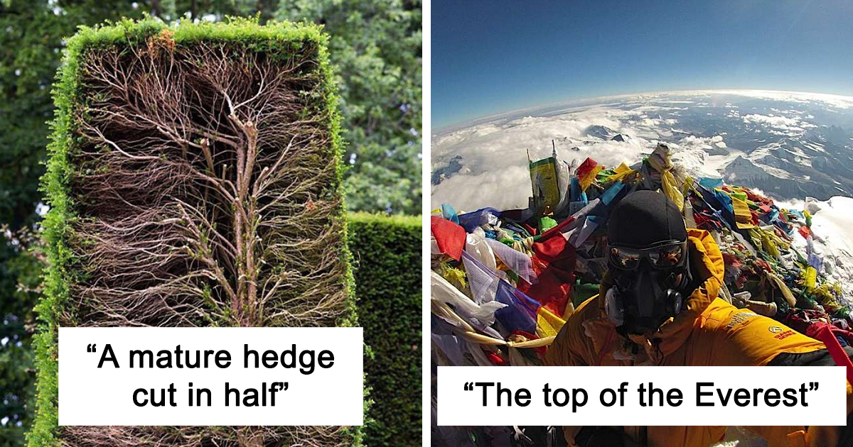 35 Rarely-Seen Pics Of Common Things That Might Change The Way You See The World