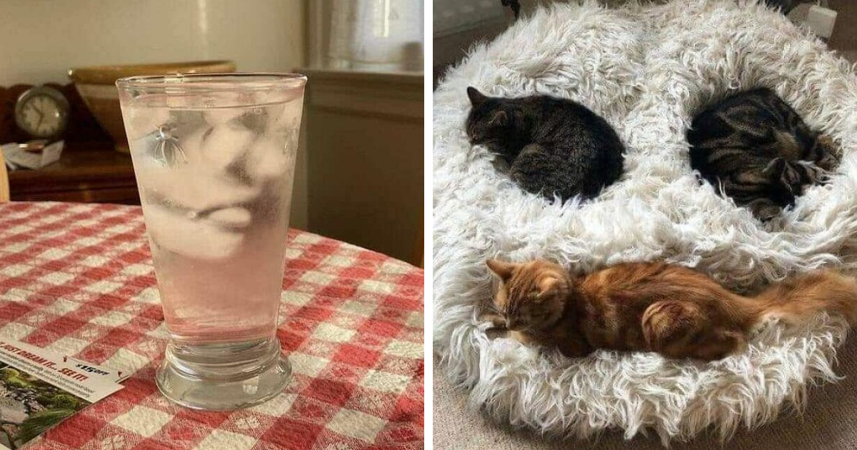 “Things That Look Like Faces”: 30 Cases Of Everyday Pareidolia