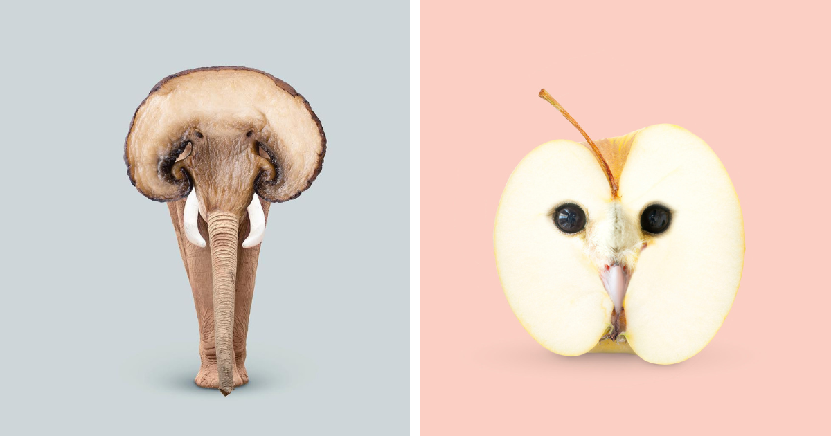 20 Times Les Creatonautes Blended Various Objects And Animals To Create A New Being