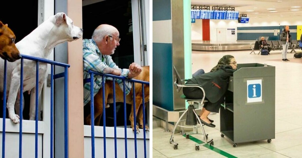 25 Hilarious Coincidence Images Captured On The Streets By Julie Hrudová