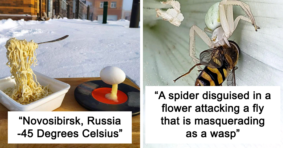 30 Jaw-Dropping Nature Pics Proving That Its Beauty Is Breathtaking
