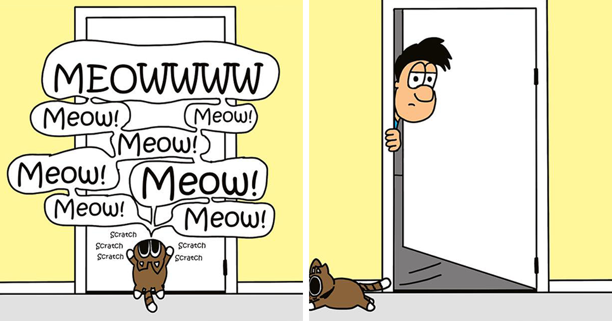 20 Comics That Illustrate The Life Of A Cat Owner