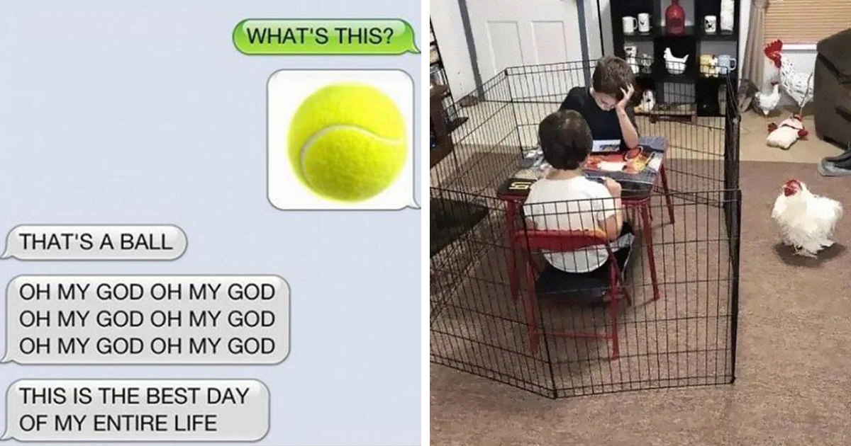 30 Funny Photos Without Context That Get Weirder The Longer You Look At Them