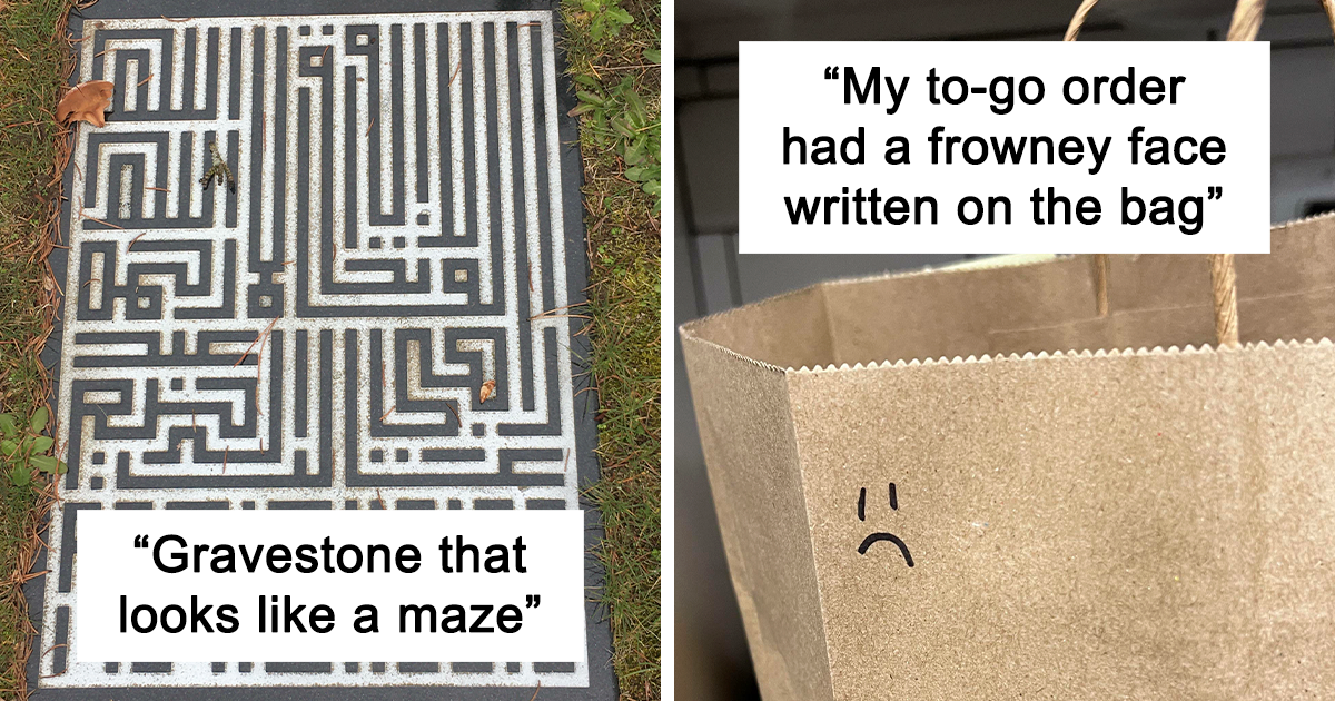 30 ‘Mildly Interesting’ Things People Spotted And Shared In This Online Group (New Pics)