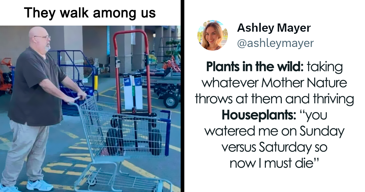 “Science Humour”: 30 Memes Guaranteed To Distribute The Scientifically Proven Medicine Of Laughter