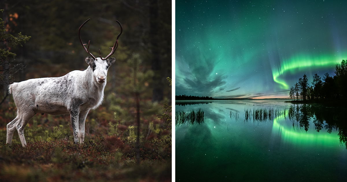 20 Images That Showcase The Magnificence Of Finland, Captured By Oscar Keserci