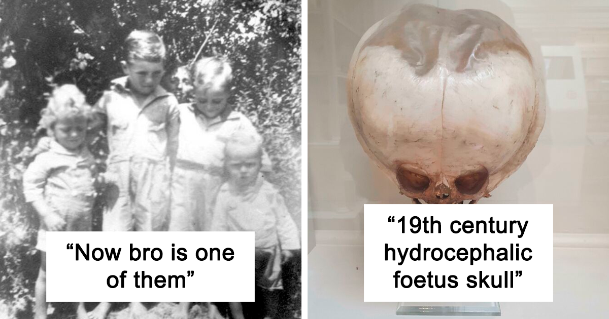 20 Strange and Unnerving Photos Shared By This Twitter Account