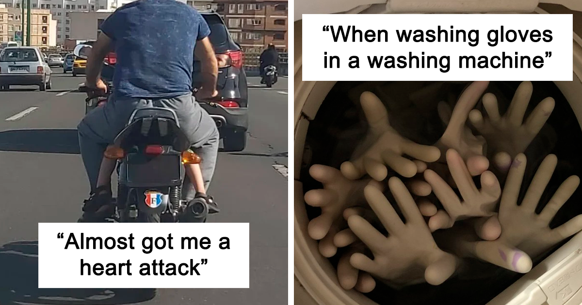 ‘Gave Me A Heart Attack’: 20 Pics Of Something Harmless Spooking Someone