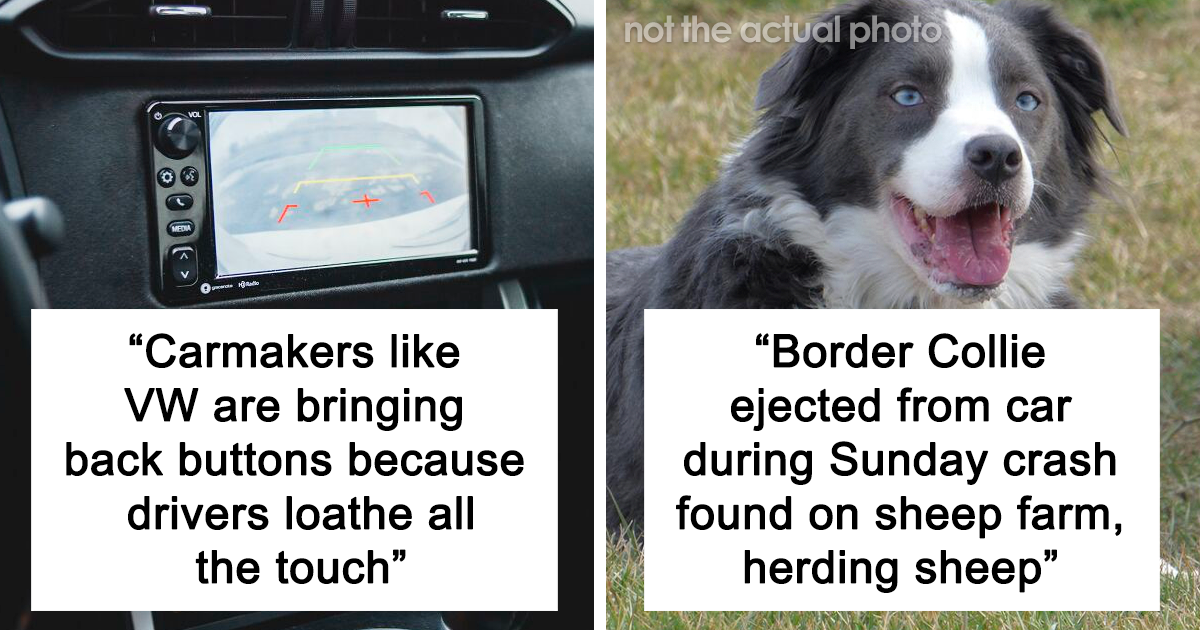42 Noteworthy ‘Uplifting News’ From 2023