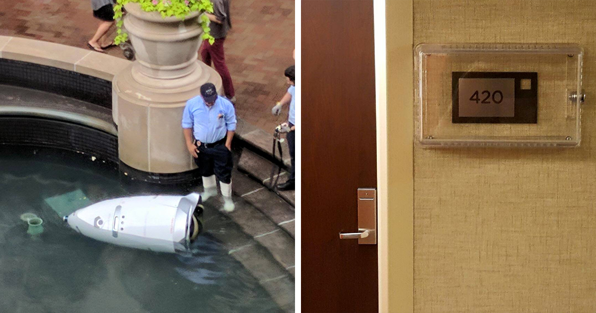 30 Times People Shared Wonderful And Surprising Things In The Online Group 'Mildly Interesting'