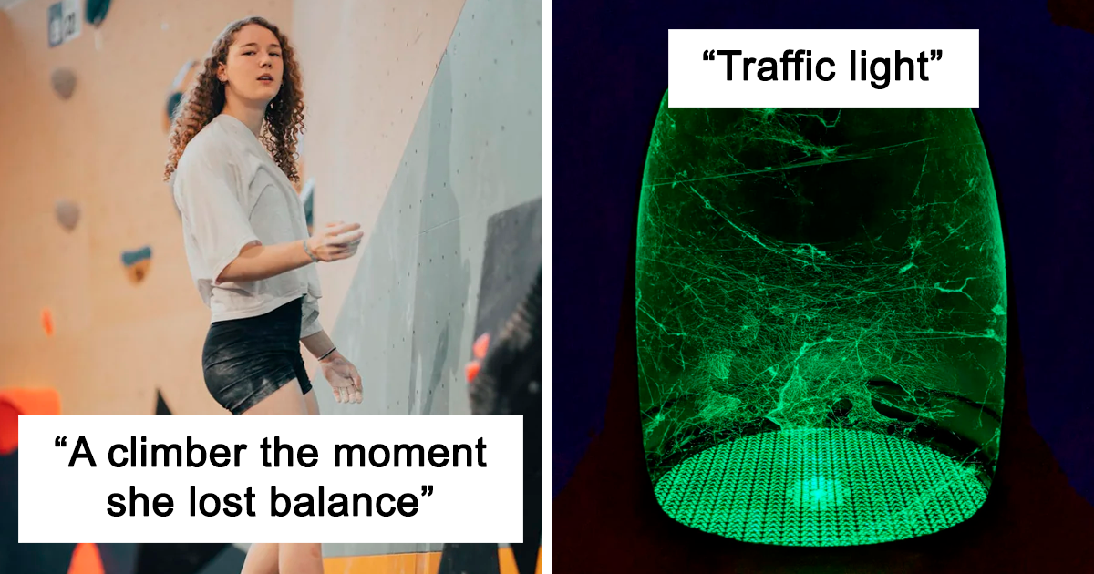 20 Of The Best-Looking Photos From This Online Community That Is All About Perfect Shots