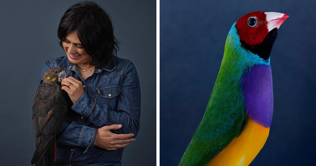 Leila Jeffreys Captures 30 Mesmerising Shots Of Birds In A Unique Photo Series