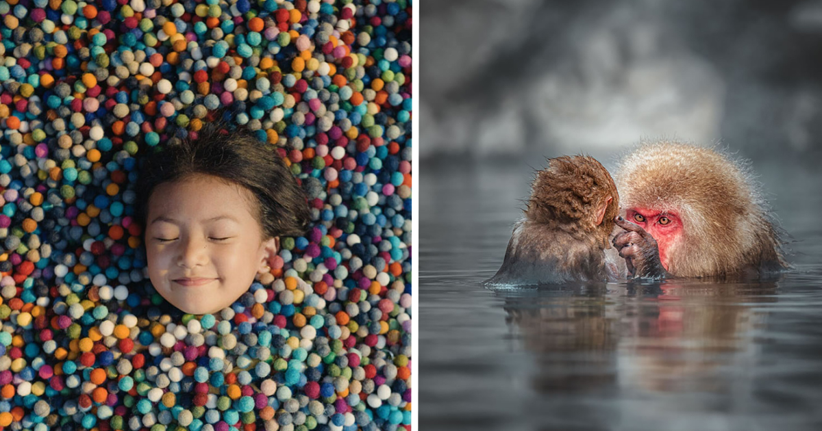 15 Photos From Sony World Photography Awards 2024 That Won Millions Of Hearts