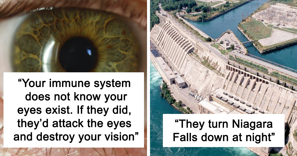 25 Cool And Interesting Facts As Shared On This Online Thread