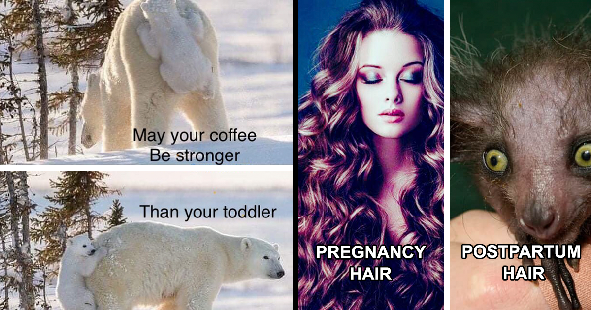 30 Hilarious Memes That Sum Up Pregnancy And The Life Of Parents