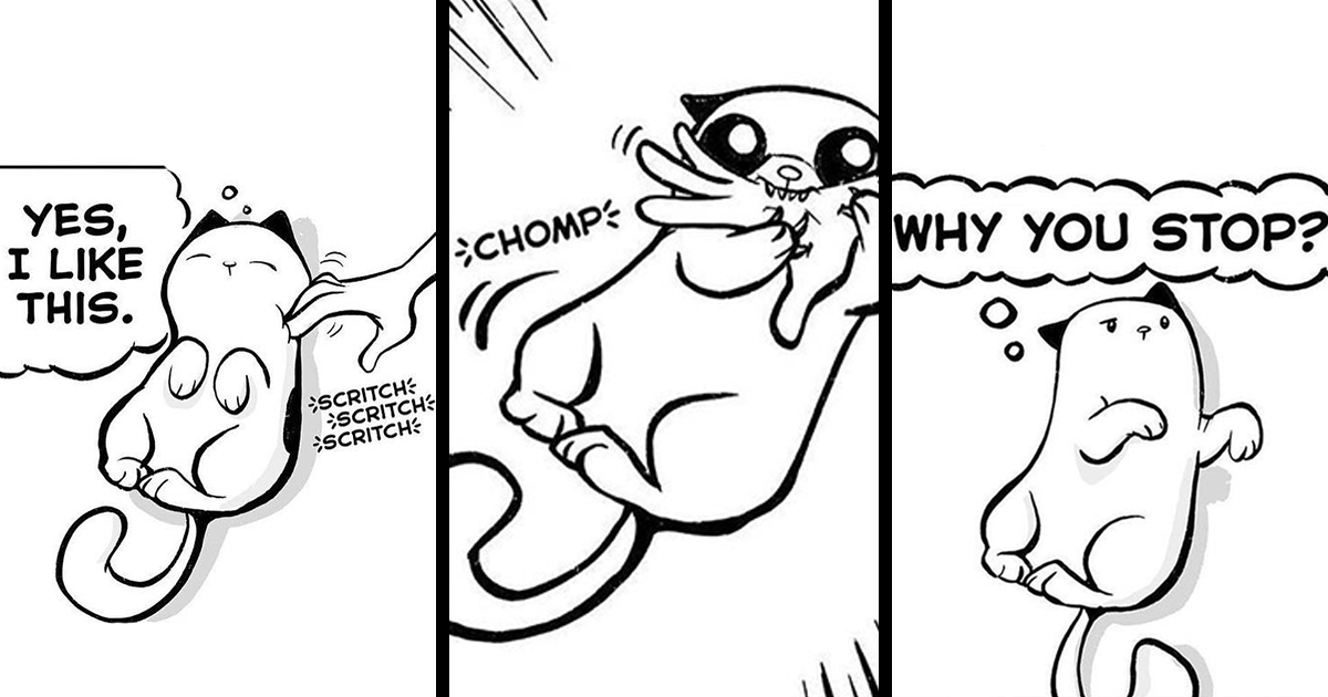 30 Funny Comics Every Cat Owner Can Purr-fectly Relate To