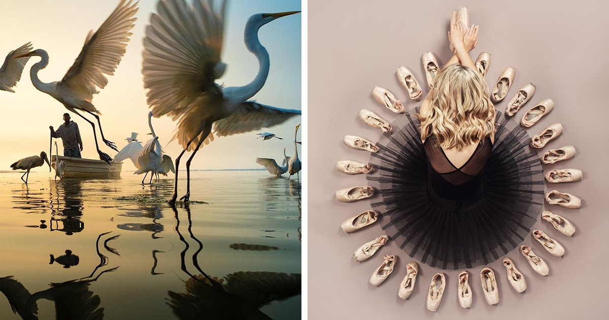 20 Spectacular Winners Of International Photography Awards 2023
