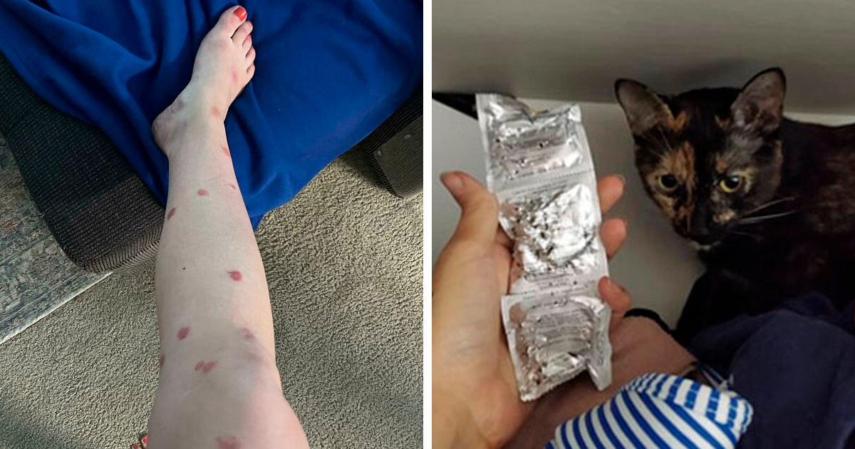 40 Pics Of People Who Were Having The Worst Day