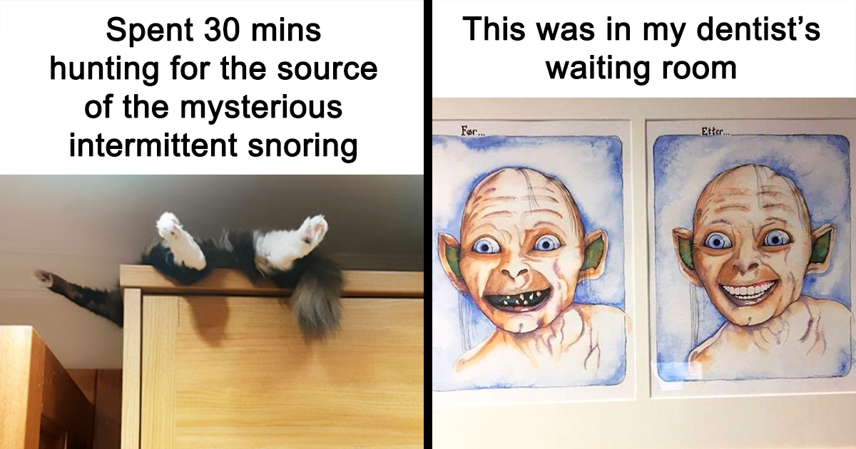 'Kind Humour': 20 Funny And Sweet Memes That Don't Offend Anyone
