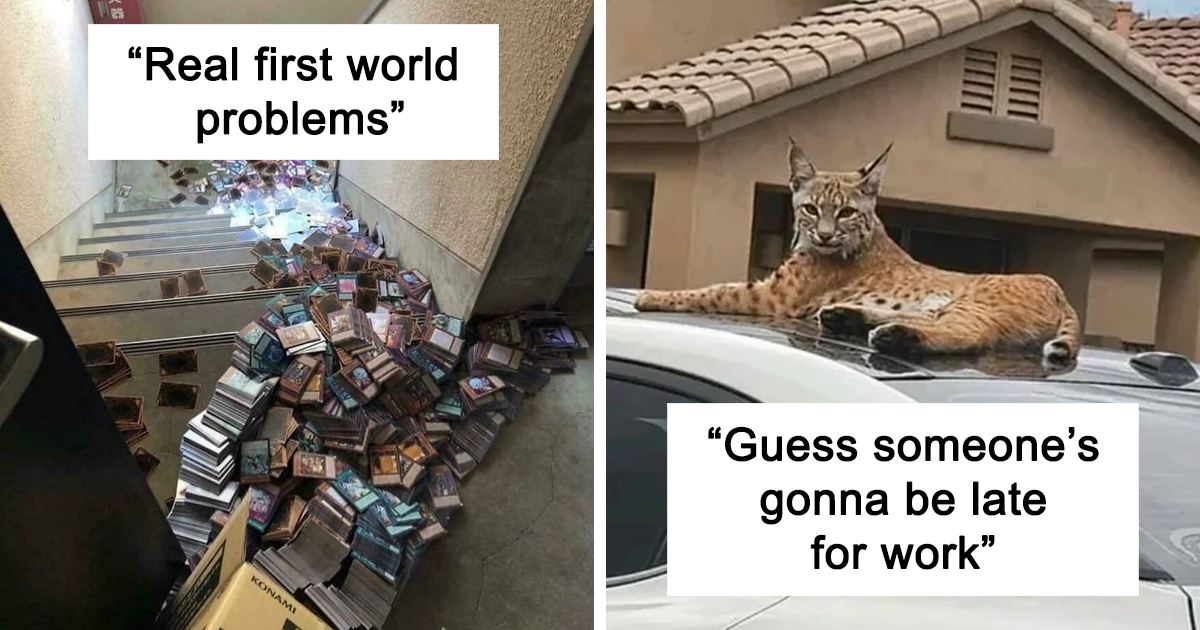 26 Unlucky Homeowners Share Pics Of Their Worst Day