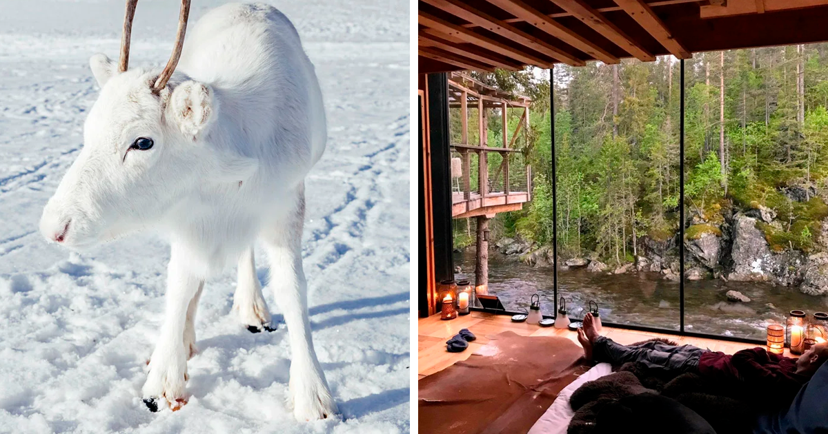 25 Breathtaking Photos Showing That Norway Is Unlike Any Other Country