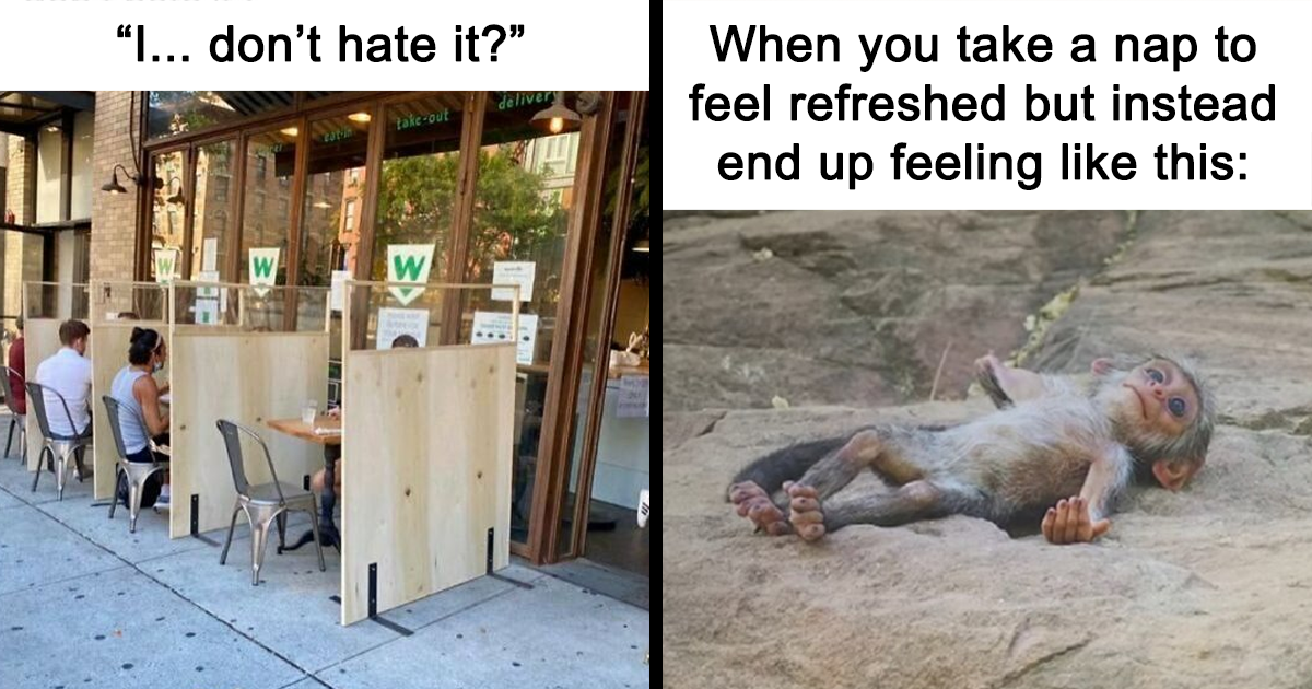 35 Funny And Relatable Memes Posted On The Instagram Page "Introvert Safe Space"