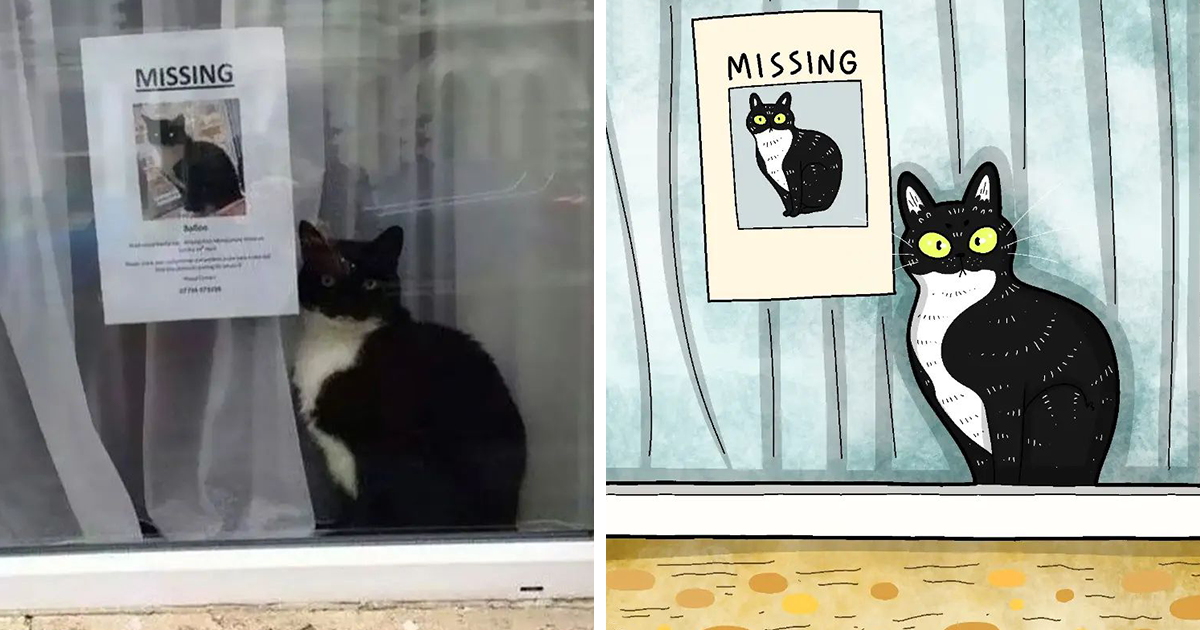 25 Times This Artist Created Funny Illustrations Inspired By Viral Cat Pics