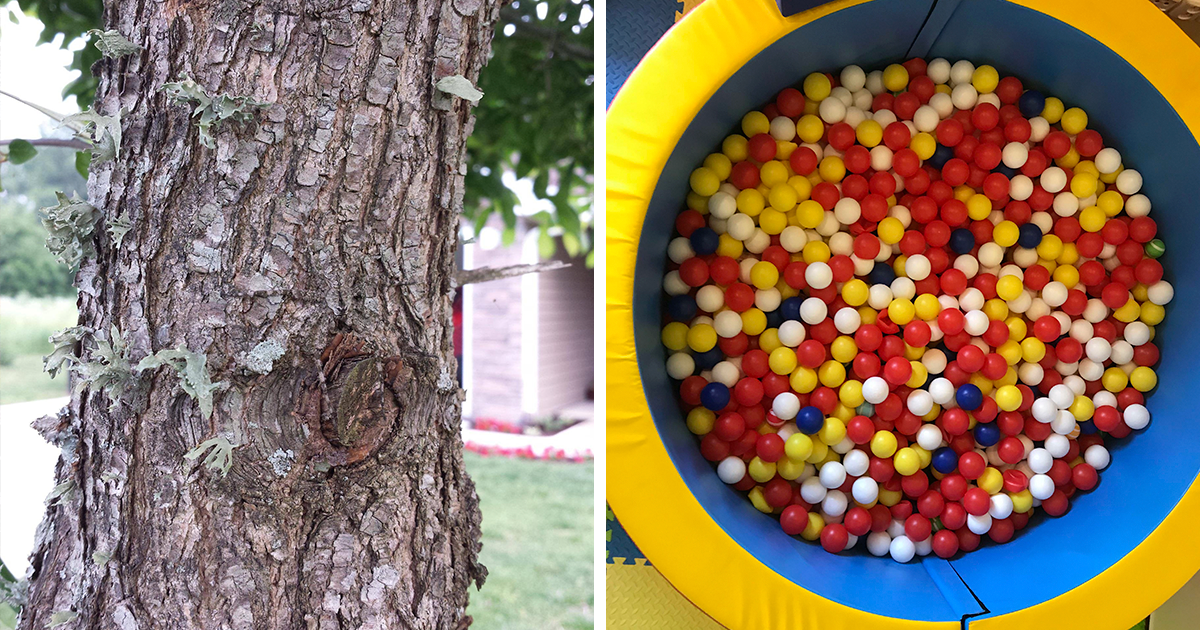 30 Times People Spotted Objects Hiding In Plain Sight, Shared In This Online Group