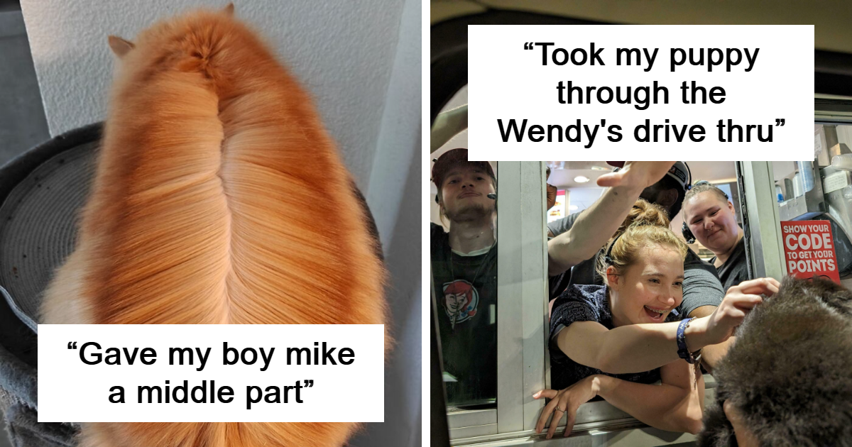 35 Times Animals Were So Irresistibly Cute, People Had To Share Pics Online