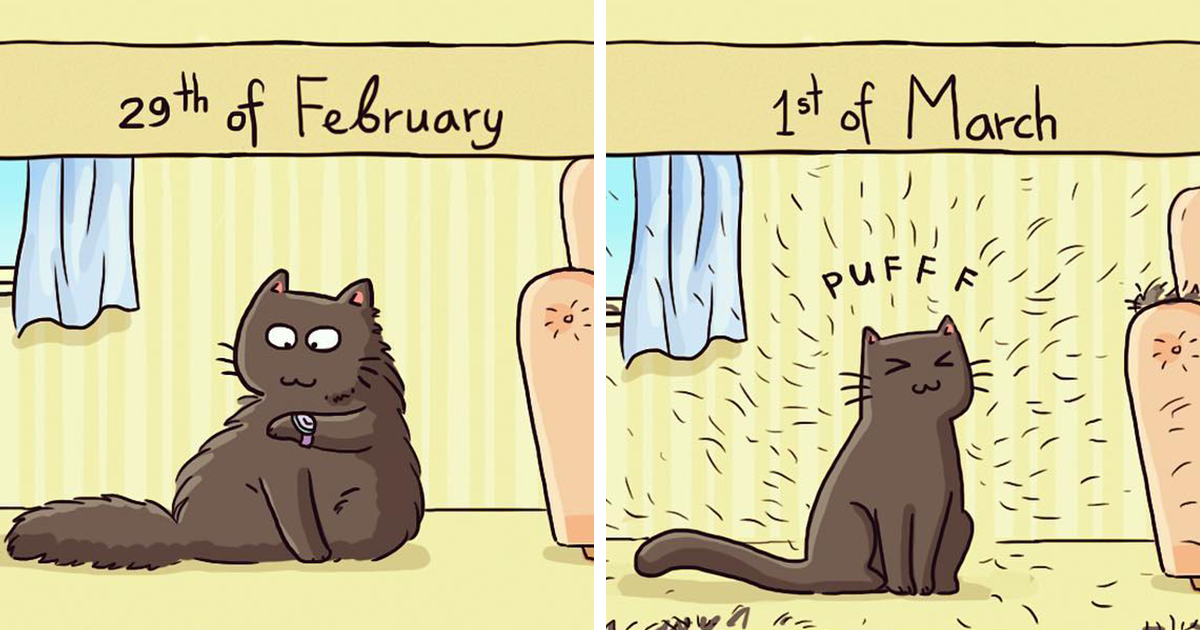 25 Comics That Depict Dita The Cat’s Charismatic Energy