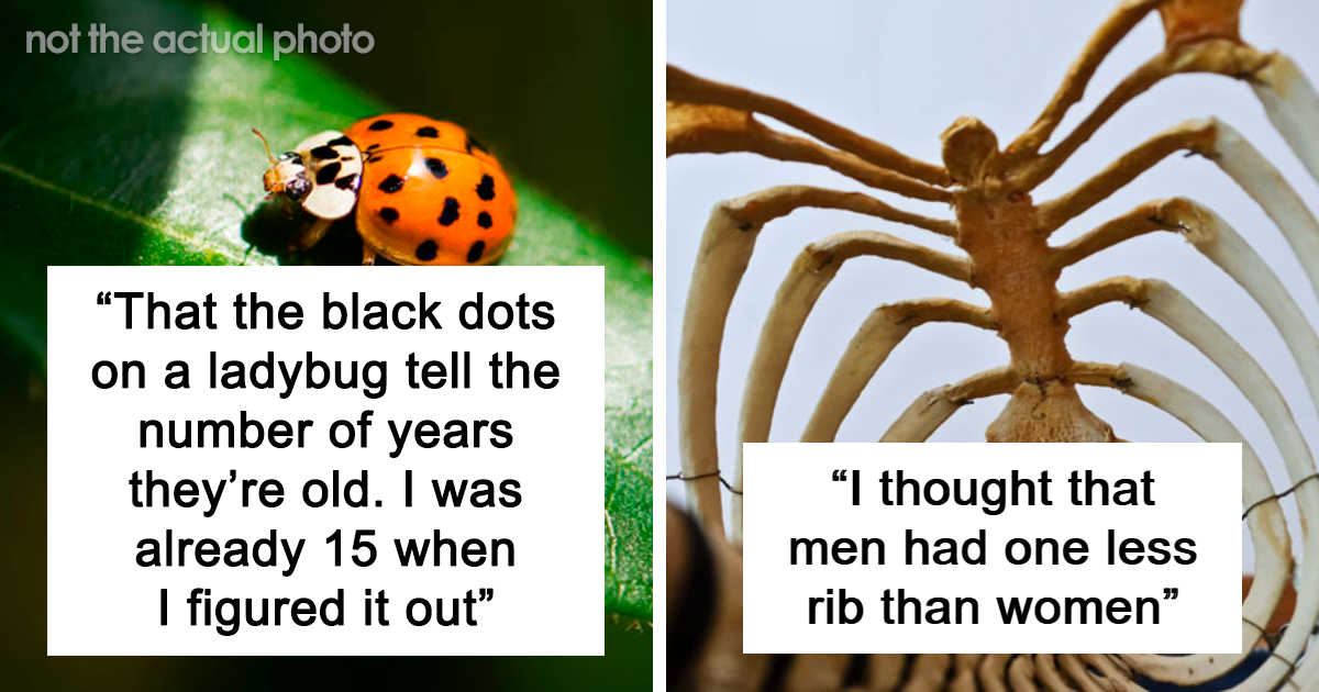 25 Dumb Lies That People Believed For The Longest Time