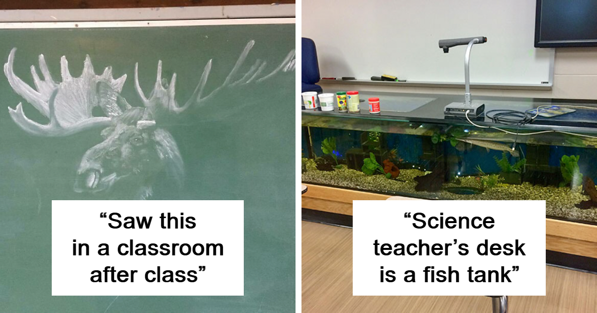 40 Unique Things Students Have Seen Around Their School
