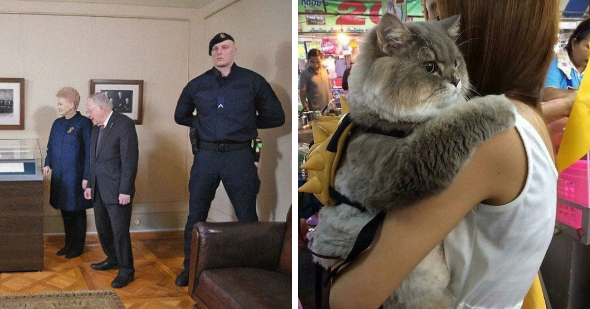 35 Times People Were Amazed By These Absolute Units And Had To Share Their Pics