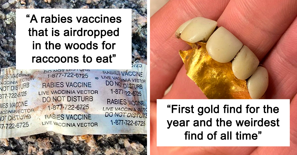 40 Pics Of Fascinating Things People Found In A Forest