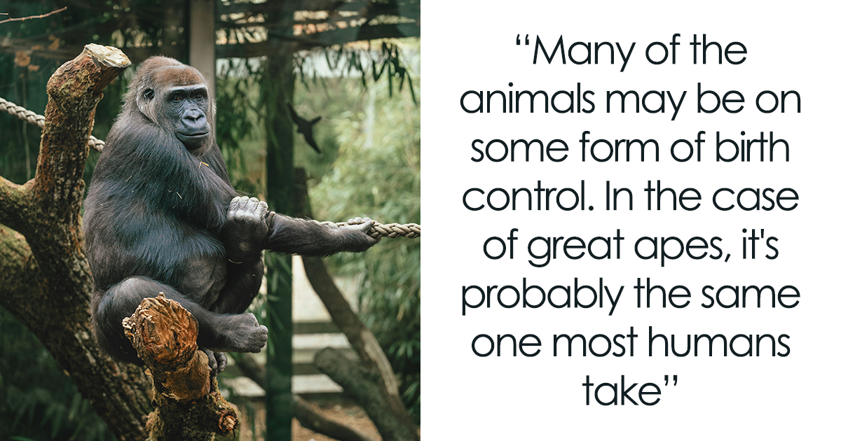 16 Zookeepers Exposed Their Most Unbelievable Secrets About The Job