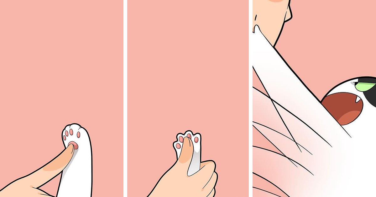 25 Illustrations Showing Funny And Adorable Moments In The Life Of A Cat Owner